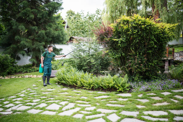 How Our Tree Care Process Works  in  Tarrytown, NY
